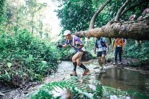 BIB: 
                            <button type="button" onclick="openModal(25444337)" class="btn btn-primary btn-sm float-right btn-popup" data-toggle="modal" data-target=".modal-high-quality">
                        <i class="fas fa-shopping-cart"></i> Add to Cart
                    </button>
                                            <button type="button" onclick="isThisMe(25444337, true)" class="btn btn-success btn-sm float-right btn-popup btn-isme hidden" data-toggle="tooltip" data-placement="bottom" title="นี่คือรูปของคุณใช่ไหม คลิกที่นี่เพื่อเอาเข้าอัลบั้ม">
                        <i class="fas fa-plus"></i> Add to album
                    </button>
                    <button type="button" onclick="isThisMe(25444337, false)" class="btn btn-warning btn-sm float-right btn-popup btn-isnotme hidden">
                        <i class="fas fa-ban"></i> Remove from album
                    </button>